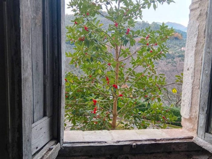 Appartamento trilocale in vendita in Montefranco, Centro