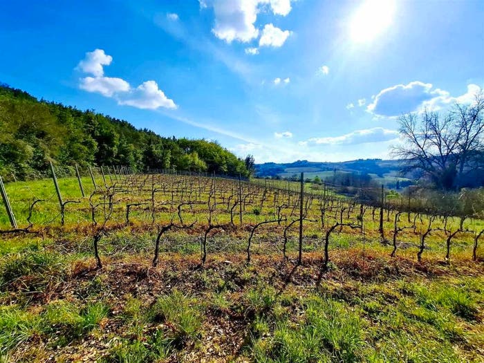 Casa trilocale in vendita in Strada Provinciale del Virginio, Montespertoli
