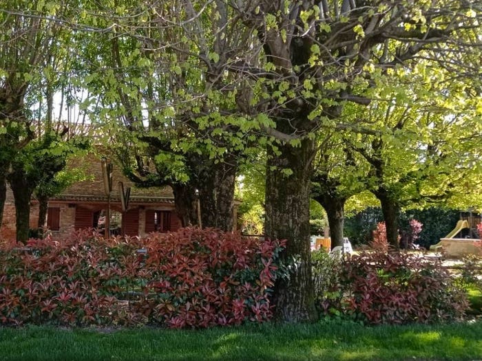 Casa con 6 locali in vendita in Bonavicina, San Pietro di Morubio