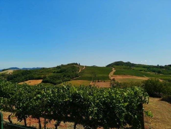 Casa quadrilocale in vendita in Inselmina, Berzano di Tortona