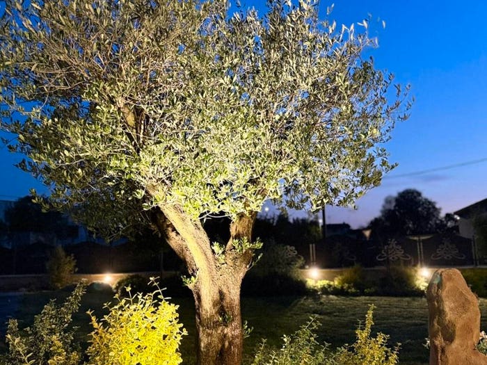 Casa quadrilocale in vendita in Via Valle, Castelvisconti
