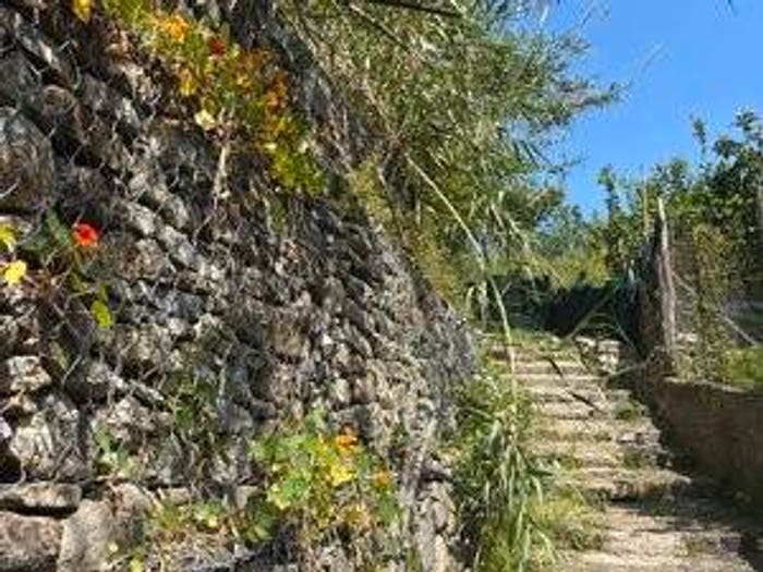 Appartamento con 5 locali in vendita in Via Santa Maria della Stella, Centro, Pisciotta