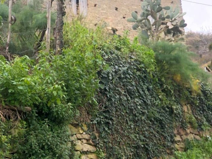 Casa con 5 locali in vendita in Via Caveria, Basicò