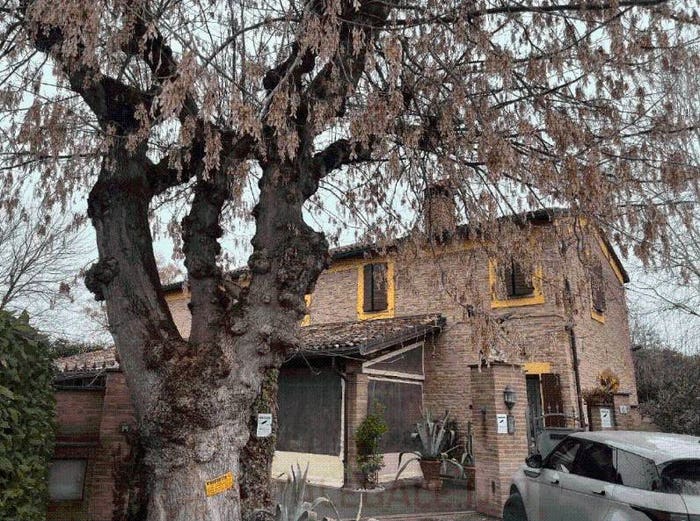 Appartamento con 6 locali in vendita in Via Gaetana, Cotignola