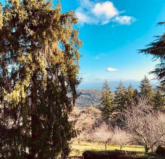 Casa con 6 locali in vendita in Sassetta