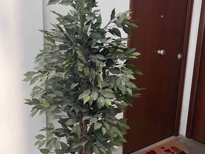 Appartamento quadrilocale in vendita in Via Cortese Vinicio, San Leonardo, Catanzaro