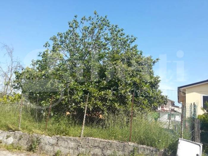 Casa trilocale in vendita in Via Colle della mola, Anitrella Chiaiamari, Monte San Giovanni Campano