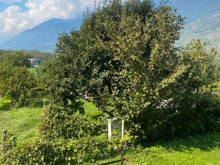 Appartamento trilocale in vendita in Via Marini, Albosaggia