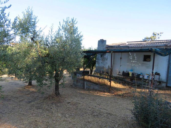 Casa monolocale in vendita in Via dei Sospiri, Treglio