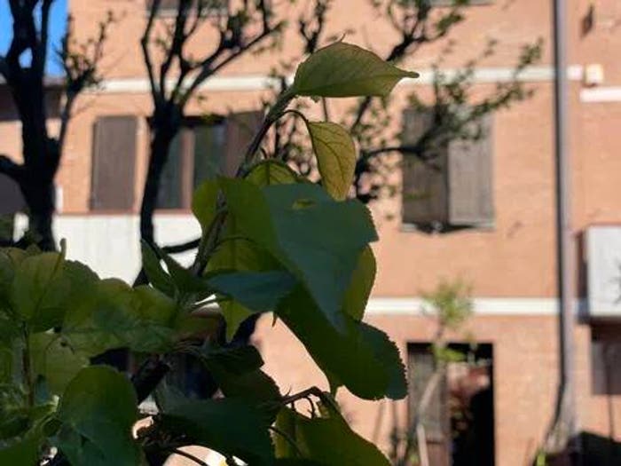 Casa con 5 locali in vendita in Via Sinistra Guerro, Centro, Castelvetro di Modena