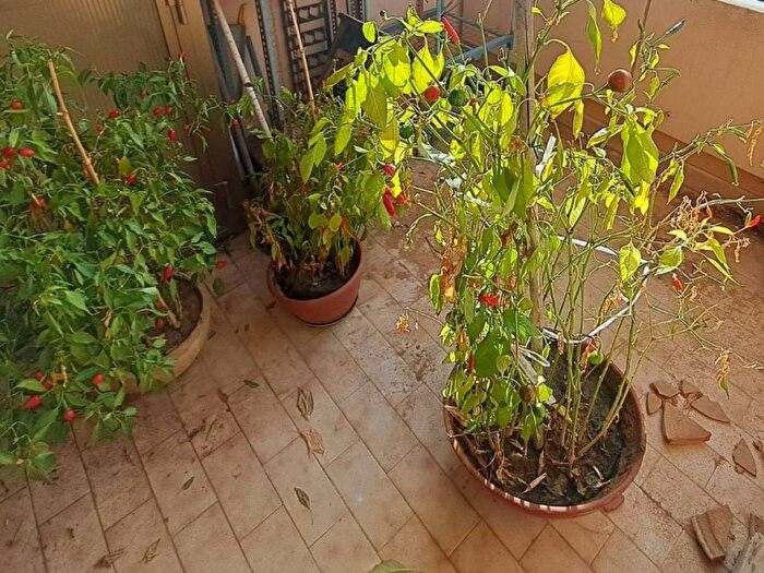 Casa con 6 locali in vendita in Strada di Sant'Egidio, Novilara, Pesaro