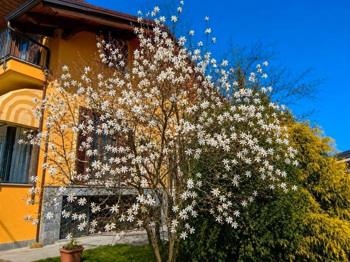 Casa con 6 locali in vendita in Via Guglielmo Marconi, San Defendente, Cervasca