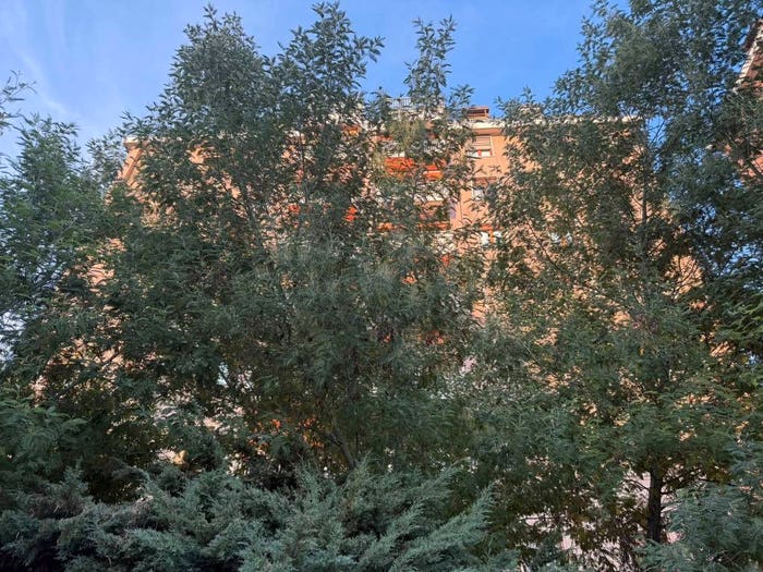Appartamento quadrilocale in vendita in Viale Teodorico, Portello Parco Vittoria, Milano