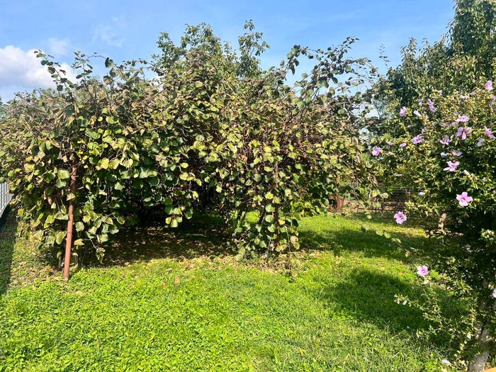 Appartamento con 5 locali in vendita in Via Alcide De Gasperi, Cambiano