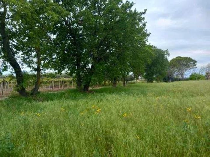Casa monolocale in vendita in Contrdada Fossato No Number, Fossato, Ortona