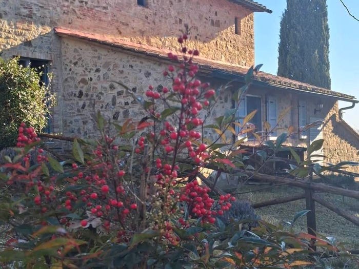 Casa bilocale in vendita in Località Fattoria Cotorniano, Casole d'Elsa