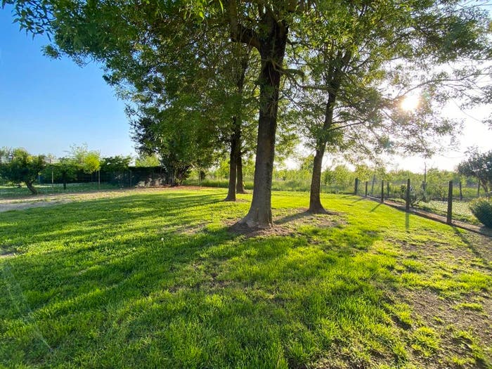 Casa con 6 locali in vendita in Via Ponte Assa, Contrapò Villanova, Ferrara