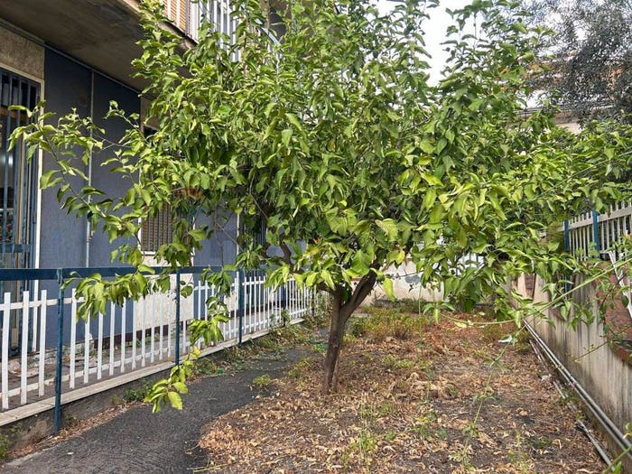 Appartamento con 5 locali in vendita in Via Leonardo Sciascia, Centro, Belpasso