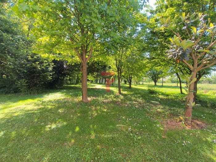 Casa con 6 locali in vendita in Via Monte Grappa, Limena