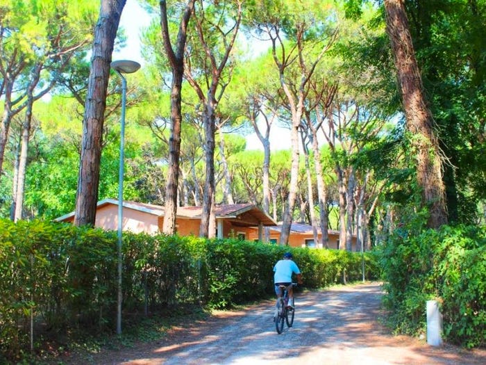 Appartamento trilocale in vendita in Via Dune, Eraclea Mare, Eraclea