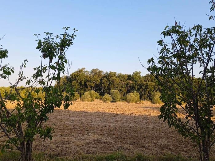 Casa trilocale in vendita in Braccagni, Grosseto