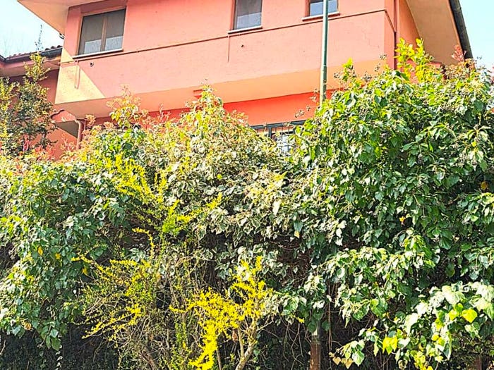 Casa con 6 locali in vendita in Viale Europa, Le Rughe, Formello
