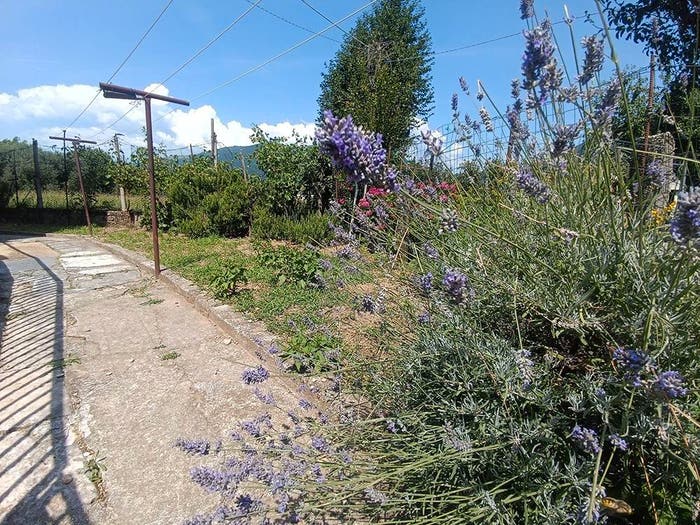 Casa con 6 locali in vendita in Via Firenze, Centro, Romano d'Ezzelino