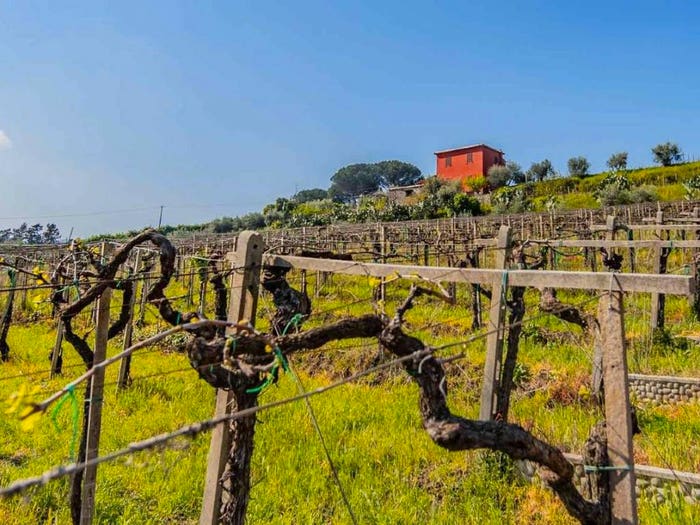Casa con 6 locali in vendita in via di Colle Reti, Frascati