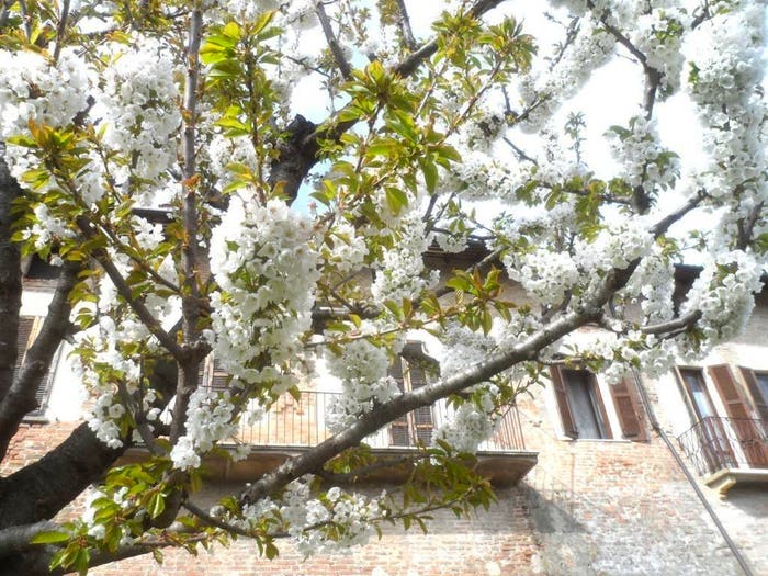 Casa con 6 locali in vendita in CASTEGGIO VIA CIRCONVALLAZIONE CANTU', Centro, Casteggio