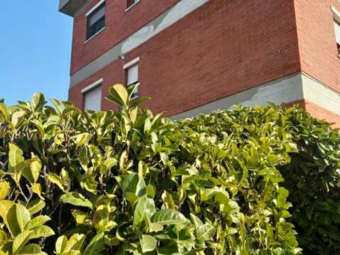 Appartamento con 6 locali in vendita in Via Ando Moro, Centro, Avezzano