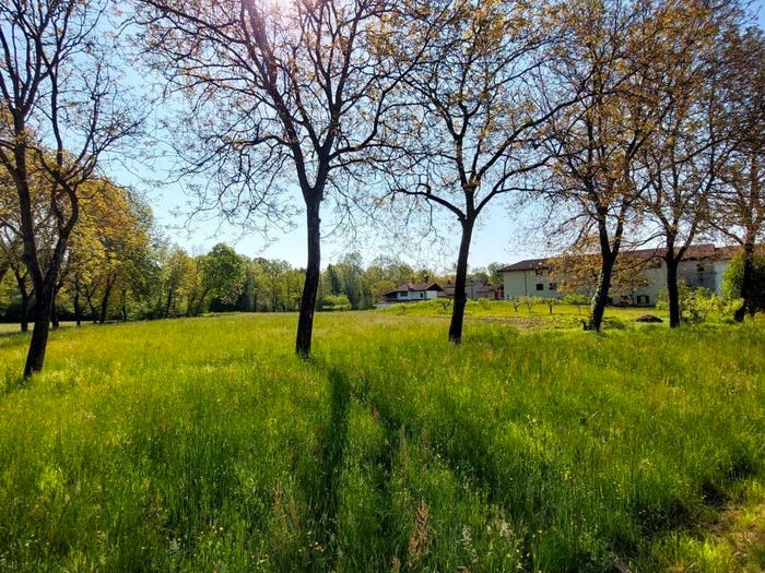 Casa quadrilocale in vendita in Cascina Ceredo, Borgomanero
