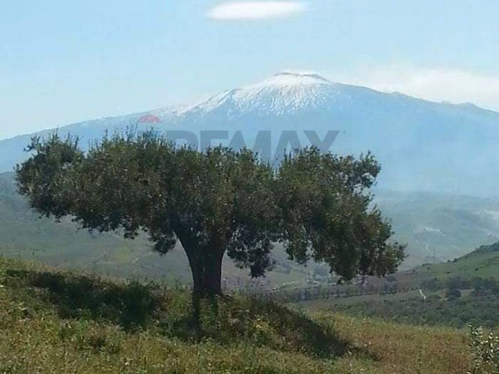 Appartamento con 6 locali in vendita in Contrada Carchiola, Troina