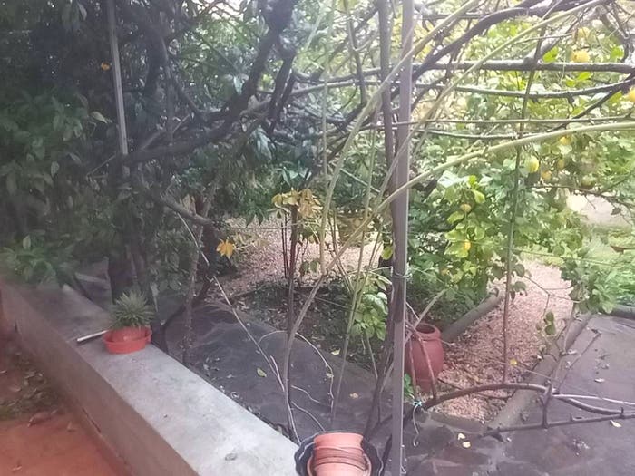 Casa con 6 locali in vendita in Via delle Cascine, Porta al Prato San Jacopino, Firenze