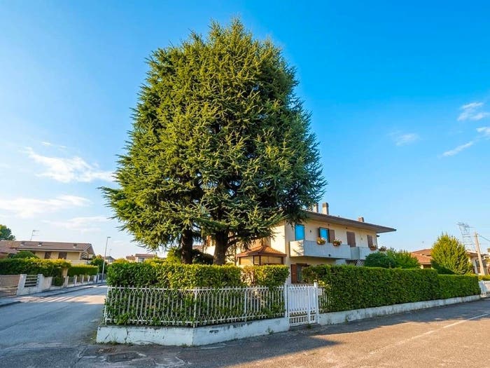 Casa con 6 locali in vendita in Via delle Rose, Caldogno Rettorgole Cresole, Caldogno