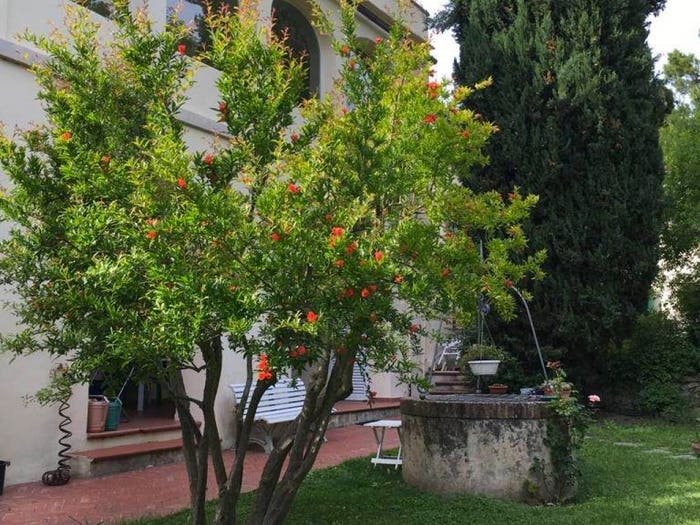 Casa con 6 locali in vendita in Via dei Madonnoni, Calci