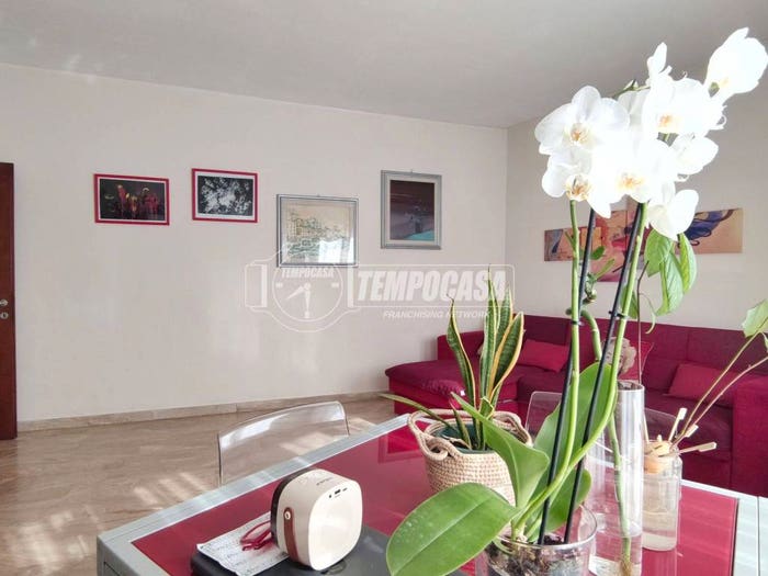 Appartamento quadrilocale in vendita in San Bellino San Filippo Neri, Padova