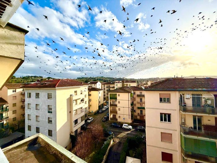 Appartamento con 5 locali in vendita in Via Matteo di Giovanni, Soffiano, Firenze