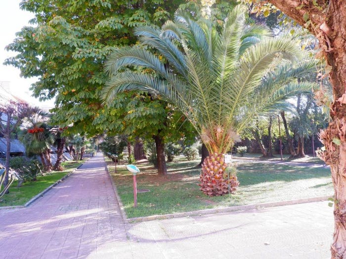 Appartamento quadrilocale in vendita in Parco Cerasole, Caserta