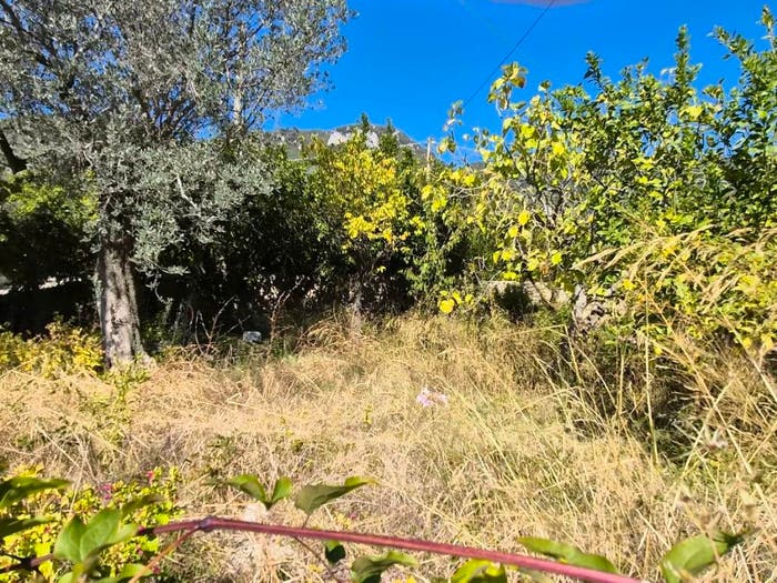 Casa quadrilocale in vendita in Frazione Santa Maria La Nova, Campagna