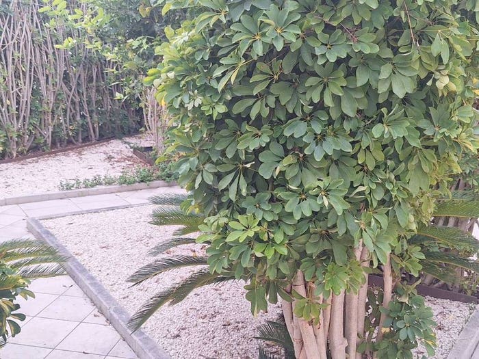 Casa con 5 locali in vendita in Alcamo Marina, Alcamo