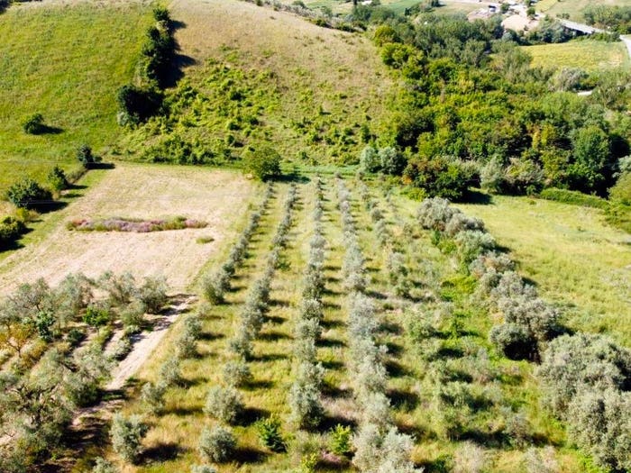 Casa con 6 locali in vendita in Contrada valle asinara, Monsampolo del Tronto