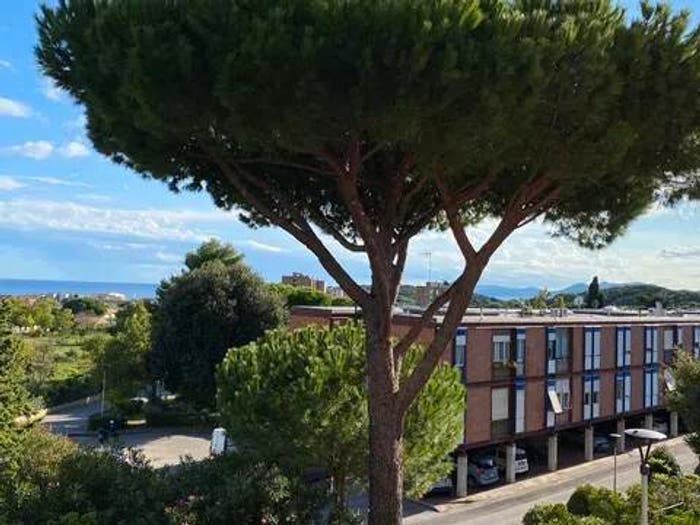 Appartamento quadrilocale in vendita in Località Ghiaccioni No Number, Centro, Piombino
