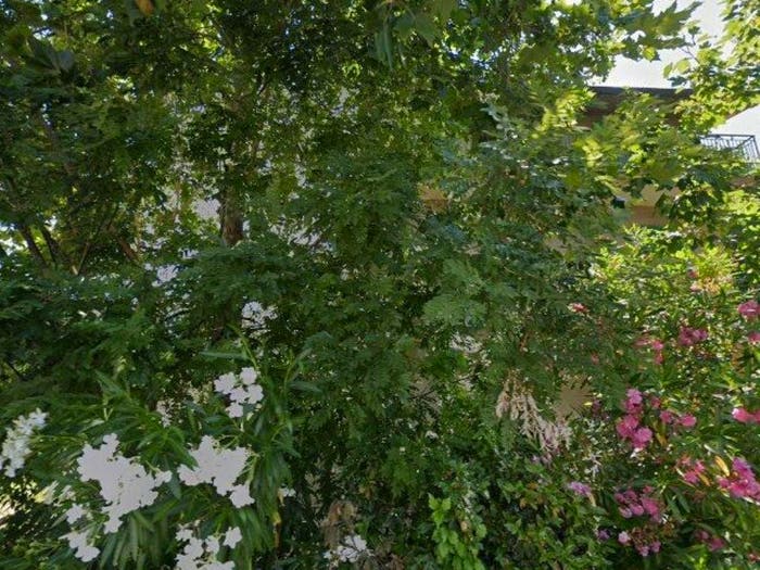 Appartamento trilocale in vendita in Via Amodeo n Castiglione del Lago PG, Panicarola, Castiglione del Lago