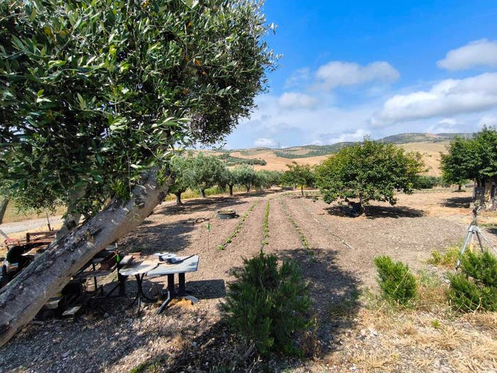 Casa quadrilocale in vendita in Strada della Ficoncella, Cisterna Faro San Liborio, Civitavecchia