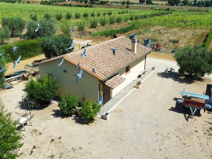 Casa trilocale in vendita in Torre Palazzi, Capalbio