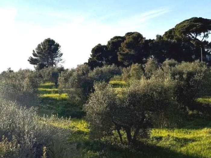 Appartamento trilocale in vendita in Via Garzelli, Collinaia Monterotondo, Livorno