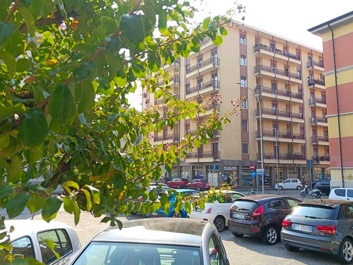 Appartamento quadrilocale in vendita in Via Palestro, Centro, Gallarate