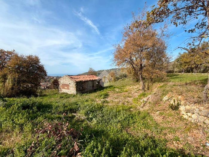 Casa monolocale in vendita in Contrada Celle, Celle, Buonvicino