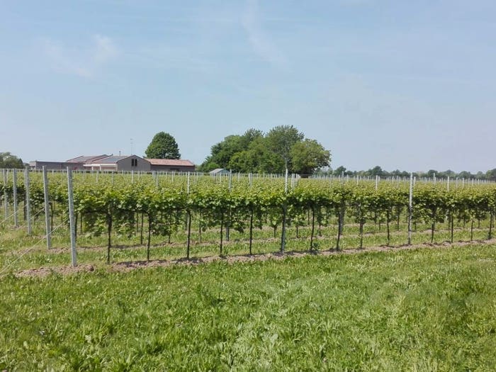 Casa con 6 locali in vendita in Via Piave, Breda di Piave