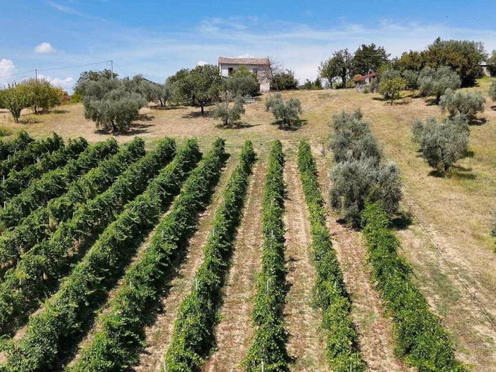 Casa con 5 locali in vendita in collepietro, Torri in Sabina